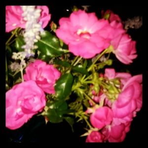 Meet your Posher, Joanna